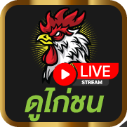 ดูไก่ชน