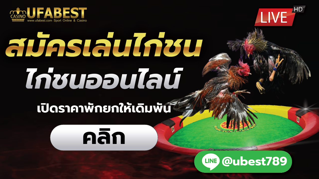 Ufabest-สมัครเล่นไก่ชน