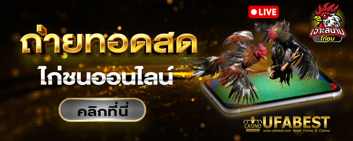 เจาะสนามไก่ชน