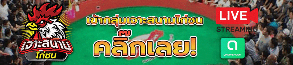 เข้ากลุ่มเจาะสนามไก่ชน