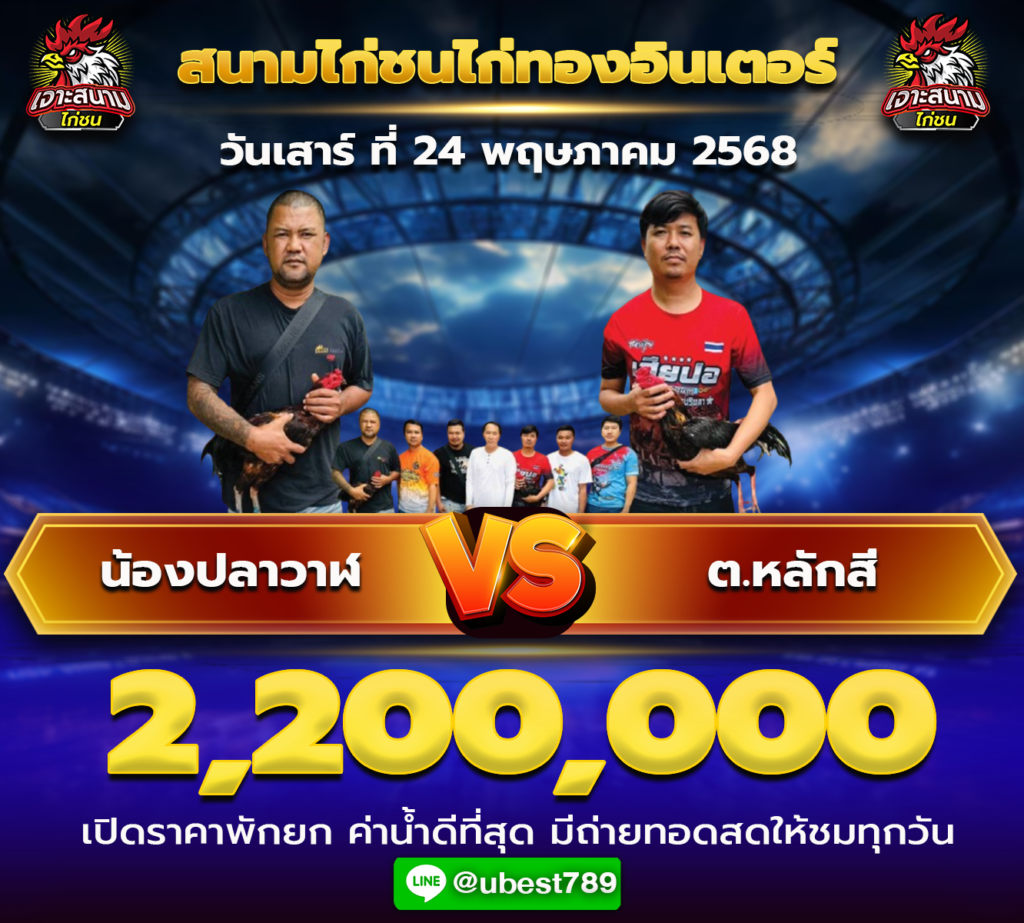 ไก่ทอง2